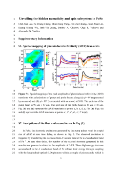 Unveiling the hidden nematicity and spin subsystem in FeSe