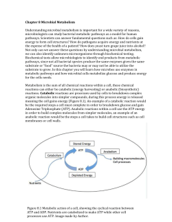 Glucose metabolism: the process