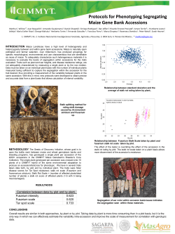 Segregation of ear color within accesion testcrosses