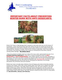 important facts about preventing winter burn with anti