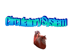 HS 1 Circulatory System