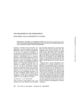 PHYCOBILISOMES OF THE THERMOPHILIC BLUE