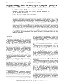 Temperature-Dependent Lifetimes and Quantum Yield of the Singlet