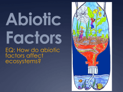 Abiotic Factors