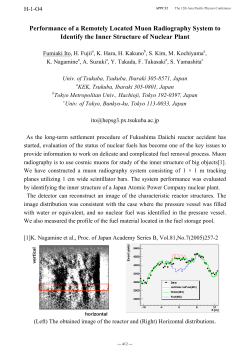 Performance of a Remotely Located Muon Radiography System to