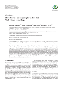 Hypertrophic Osteodystrophy in Two Red Wolf (Canis rufus) Pups