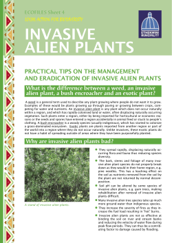 Eco Files 4 Invasive Alien Plants