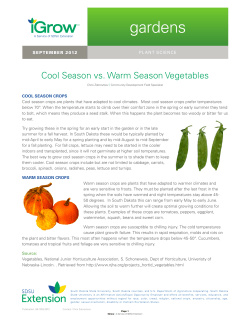 Cool season crops