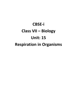 Aerobic Respiration