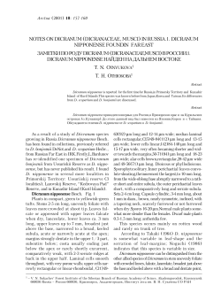 notes on dicranum (dicranaceae, musci) in russia.1