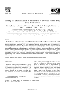 Cloning and characterization of an inhibitor of apoptosis protein (IAP