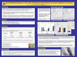 arsenic poster