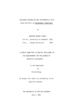 SUCCINATE METABOLISM AND TRICARBOXYLIC ACID CYCLE