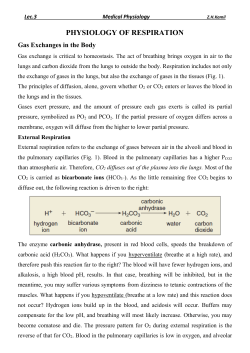 Oxygen Concentration and Partial Pressure in the Alveoli