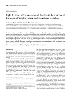 Light-Dependent Translocation of Arrestin in the Absence of