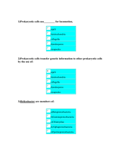 questions1 - KSU Faculty Member websites