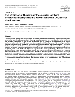 The efficiency of C4 photosynthesis under low light conditions