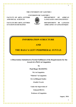 information structure and the basa`a left peripheral syntax