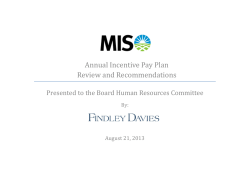 Annual Incentive Pay Plan Review and