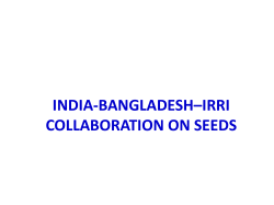 bangladesh * india *irri collaboration on seeds