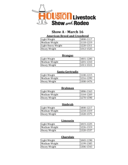 Steers - Houston Livestock Show and Rodeo