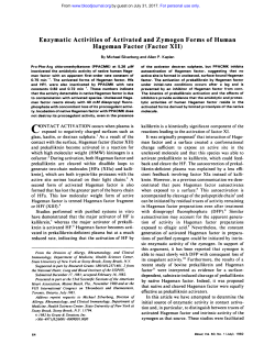 Enzymatic Activities of Activated and Zymogen
