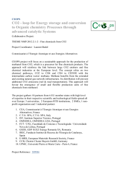 CO2 - loop for Energy storage and conversion to Organic chemistry