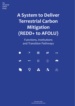 A System to Deliver Terrestrial Carbon Mitigation