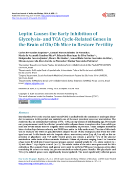 Leptin Causes the Early Inhibition of Glycolysis