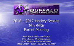 BYHA BOARD OF DIRECTORS