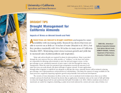 Drought Management for California Almonds