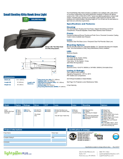 Small Bentley Kitty Hawk Area Light