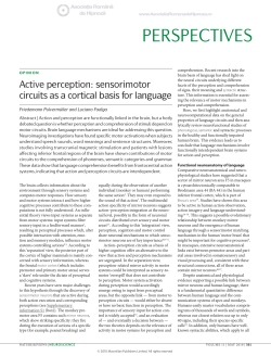 Active perception: sensorimotor circuits as a cortical basis for