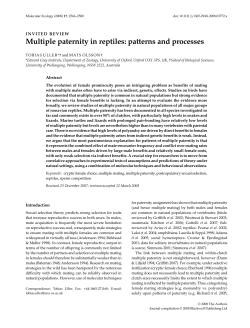 Multiple paternity in reptiles: patterns and processes