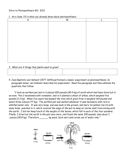 WS: Intro to Photosynthesis