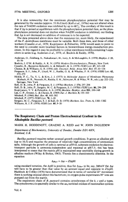 The Respiratory Chain and Proton Electrochemical Gradient in the