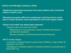 Carbon and Nitrogen Cycling in Soils