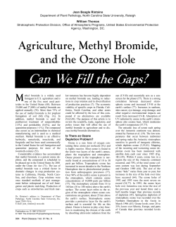 Agriculture, Methyl Bromide, and the Ozone Hole
