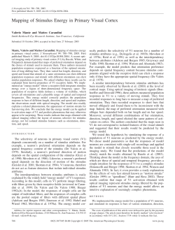 Mapping of Stimulus Energy in Primary Visual