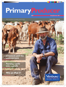 Livestock and the environment Turning cattle into