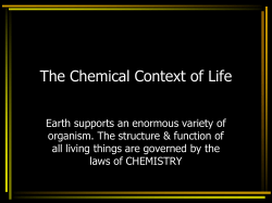 The Nature of Molecules