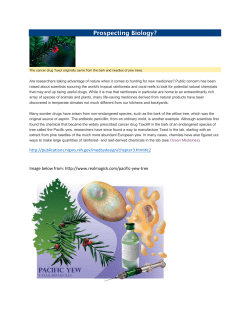 Taxol Cancer Drug