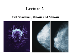 Basic Biology