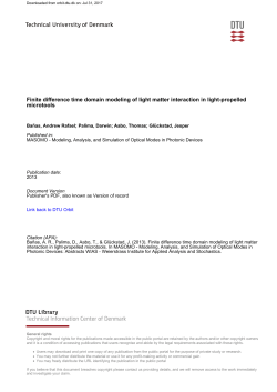 Finite difference time domain modeling of light matter