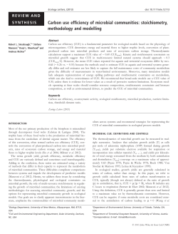 Carbon use efficiency of microbial communities: Stoichiometry