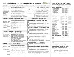 2017 native plant flats and individual plants