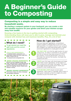 A Beginner`s Guide to Composting