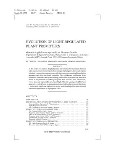 evolution of light-regulated plant promoters