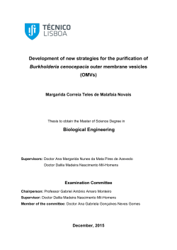 Development of new strategies for the purification of Burkholderia