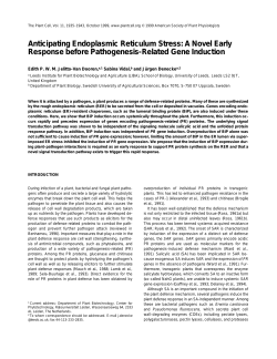 Anticipating Endoplasmic Reticulum Stress: A Novel